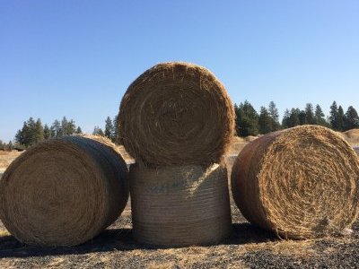 Round Bales